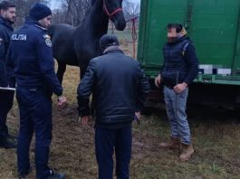 Târg de animale ilegal, la Recea. Polițiștii au aplicat amenzi și au întocmit dosare penale