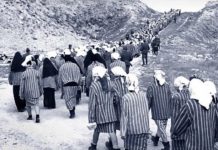 Ianuarie 1950. Înființarea lagărelor de muncă. Pentru ce motive absurde erau trimiși în lagăr zeci de mii de români