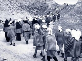 Ianuarie 1950. Înființarea lagărelor de muncă. Pentru ce motive absurde erau trimiși în lagăr zeci de mii de români