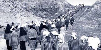 Ianuarie 1950. Înființarea lagărelor de muncă. Pentru ce motive absurde erau trimiși în lagăr zeci de mii de români