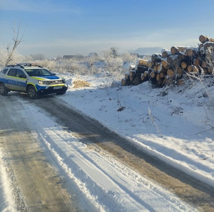 Politistii-brasoveni-au-confiscat-un-camion-plin-cu-lemne-precum-si-alti-aproape-170-mc-de-lemn-de-foc-de-alti-afaceristi-din-domeniu