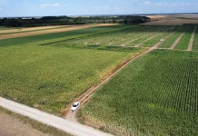 Cetățenii din Sâmbăta de Jos primesc titlurile de proprietate pentru terenurile din extravilanul localității. Vezi când și de unde le poți ridica