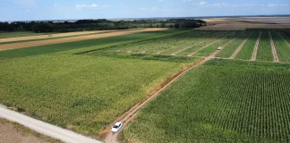 Cetățenii din Sâmbăta de Jos primesc titlurile de proprietate pentru terenurile din extravilanul localității. Vezi când și de unde le poți ridica