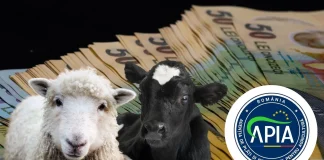 APIA a autorizat noi plăți pentru fermieri în valoare totală de 127 milioane de lei, în contul Campaniei 2025