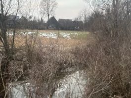 Tragedie la Chirpăr. O fetiță, care a căzut în pârâu, n-a mai putut fi salvată. Este căutat și fratele ei de 9 ani