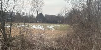 Tragedie la Chirpăr. O fetiță, care a căzut în pârâu, n-a mai putut fi salvată. Este căutat și fratele ei de 9 ani