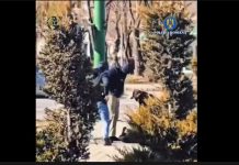 VIDEO. Bărbat de 46 ani prins în flagrant, în Brașov, când încerca să vândă canabis. Traficantul a fost arestat