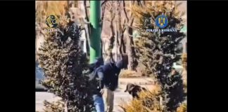 VIDEO. Bărbat de 46 ani prins în flagrant, în Brașov, când încerca să vândă canabis. Traficantul a fost arestat
