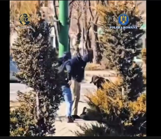 VIDEO. Bărbat de 46 ani prins în flagrant, în Brașov, când încerca să vândă canabis. Traficantul a fost arestat