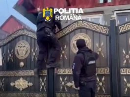 Au furat din utilajele de pe șantier minim 1,8 tone de motorină. Opt persoane au fost arestate în urma perchezițiilor