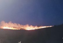 14 incendii de vegetație în 72 de ore. Pompierii fac apel la responsabilitatea cetățenilor