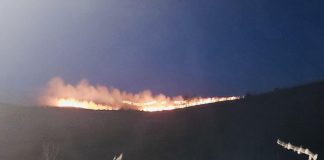 14 incendii de vegetație în 72 de ore. Pompierii fac apel la responsabilitatea cetățenilor