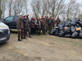 Foto. Acțiune de ecologizare pe malurile Oltului, în zona Făgăraș. Ionel Lazea, directorul Ocolului ,,Pădurile Făgărașului“: ,,Era necesară această acțiune“