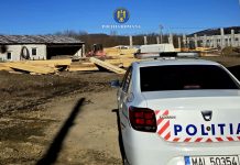 700 mc de lemn confiscați și amenzi de 126.000 lei la controlul efectuat de polițiști în județul Brașov