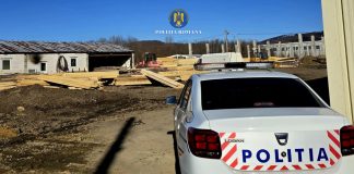 700 mc de lemn confiscați și amenzi de 126.000 lei la controlul efectuat de polițiști în județul Brașov