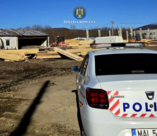 700 mc de lemn confiscați și amenzi de 126.000 lei la controlul efectuat de polițiști în județul Brașov