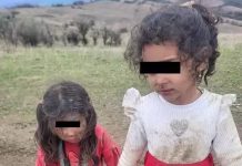 Drama unor copile din Târnăveni. Micuțele Rebeca și Melisa au fost găsite de un pădurar, după 24 ore de căutări