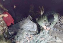 Braconaj pe râul Olt. Doi bărbați au fost prinși în flagrant de reprezentanții AVPS Făgăraș. Aveau 12 saci plini cu crap