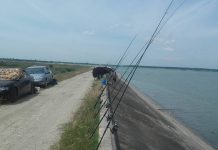 Pescuitul interzis la șalău și biban. Vezi când începe prohibiția și ce sancțiuni sunt prevăzute în legislație