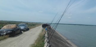 Pescuitul interzis la șalău și biban. Vezi când începe prohibiția și ce sancțiuni sunt prevăzute în legislație