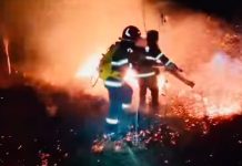 39 incendii în ultimele zile, majoritatea la vegetație uscată. Amenzi usturătoare pentru persoanele care dau foc la miriști