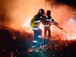 39 incendii în ultimele zile, majoritatea la vegetație uscată. Amenzi usturătoare pentru persoanele care dau foc la miriști