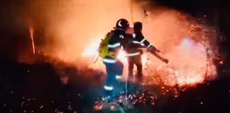 39 incendii în ultimele zile, majoritatea la vegetație uscată. Amenzi usturătoare pentru persoanele care dau foc la miriști