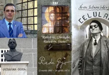 Acad. Ioan Aurel Pop: ”Radu Gyr și Octavian Goga fac parte din istoria culturii românești și trebuie păstrați ca atare. Regimurile care aplică legile retroactiv sau care sancționează vini din trecut sunt regimuri nedemocratice”