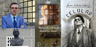 Acad. Ioan Aurel Pop: ”Radu Gyr și Octavian Goga fac parte din istoria culturii românești și trebuie păstrați ca atare. Regimurile care aplică legile retroactiv sau care sancționează vini din trecut sunt regimuri nedemocratice”