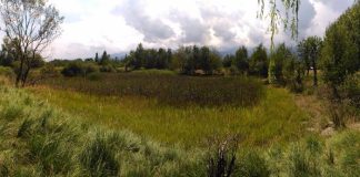 Încă o finanțare europeană pentru amenajarea zonei Heleșteu din Victoria. Proiectul va transforma un hectar de teren într-un spațiu verde