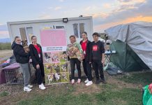 Foto. 171 de animale sterilizate în două zile, la Părău. Acțiunea se va repeta și în alte localități