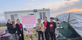 Foto. 171 de animale sterilizate în două zile, la Părău. Acțiunea se va repeta și în alte localități