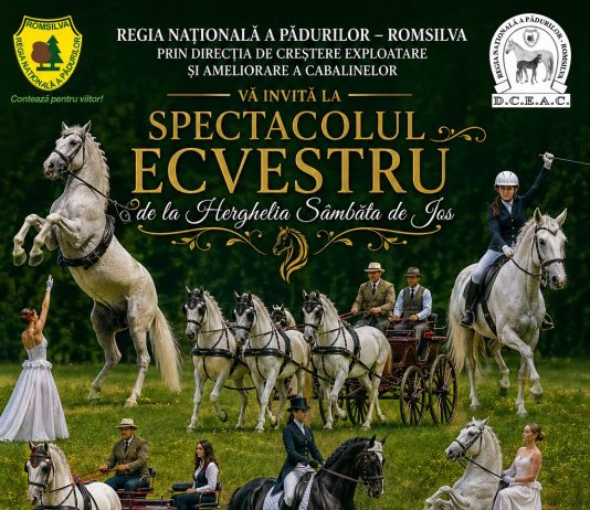 Tradiția, eleganța și pasiunea pentru cai prind viață la Herghelia de lipițani de la Sâmbăta de Jos. Spectacol ecvestru în 2 mai 2026