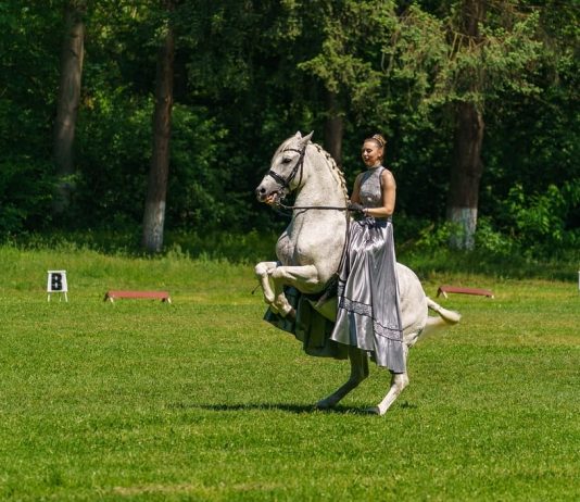 Foto. ,,Sărbătorim copilăria într-un decor de poveste!“ Herghelia Sâmbăta de Jos organizează spectacol ecvestru de 1 Iunie dedicat copiilor, familiei și iubitorilor de cai