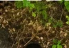 Căutările copilașului de 5 ani au dat roade! Alex a fost găsit în pădure, conștient