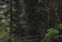 Pericol de viituri pe văile din Munții Făgăraș. Recomandarea salvamontiștilor