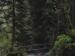 Pericol de viituri pe văile din Munții Făgăraș. Recomandarea salvamontiștilor
