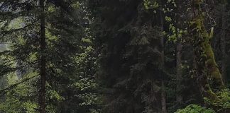 Pericol de viituri pe văile din Munții Făgăraș. Recomandarea salvamontiștilor