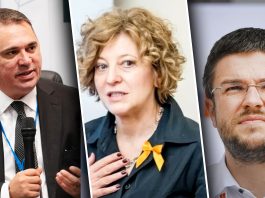 Gândul publică înregistrarea explozivă în care fostul șef ADR denunță presiuni din partea Oanei Gheorghiu și ministrului USR, Irineu Darău, pentru contracte cu nemții de la Schwarz