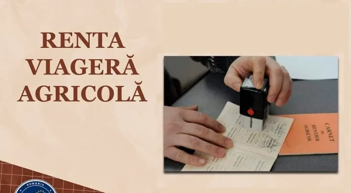 renta-viagera-agricola-1