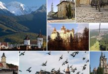 Avizele pentru OMD Județul Brașov, în linie dreaptă. ADI Țara Făgărașului este membru fondator alături de alte opt instituții