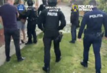 Rețea de braconaj și deținere ilegală de arme destructurată de polițiști, în județul Brașov. Principalul suspect a fost reținut