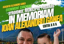 ,,În Memoriam Ioan Alexandru Ganea“, ediția a II-a: meci de fotbal caritabil pe stadionul din Făgăraș duminică, ora 17.00. Pe teren vor evolua mari fotbaliști ai României