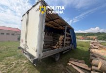Polițiștii au confiscat o autoutilitară încărcată cu lemn, la Perșani. Șoferul nu deținea acte pentru materialul lemnos