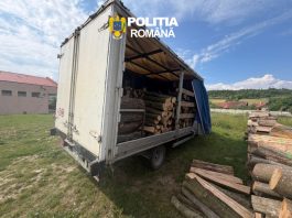 Polițiștii au confiscat o autoutilitară încărcată cu lemn, la Perșani. Șoferul nu deținea acte pentru materialul lemnos