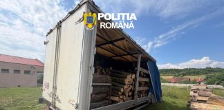 Polițiștii au confiscat o autoutilitară încărcată cu lemn, la Perșani. Șoferul nu deținea acte pentru materialul lemnos
