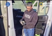 Percheziții în dosare privind fraudarea fondurilor europene prin Programul „Start-Up Nation” și evaziune fiscală