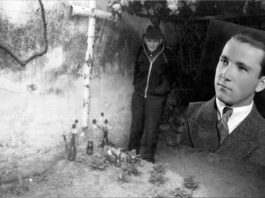 Remus Sofonea: „Fraţilor sunt rănit. Implor mila lui Dumnezeu şi ajutorul vostru. Vă rog ajutaţi-mă!“ Tragedia din casa învățătorului Olimpiu Borzea