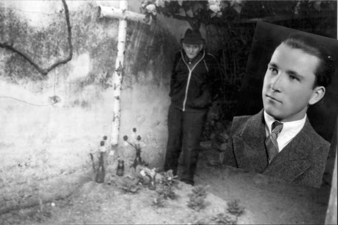 remus sofonea